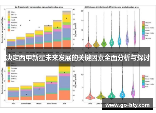 决定西甲新星未来发展的关键因素全面分析与探讨